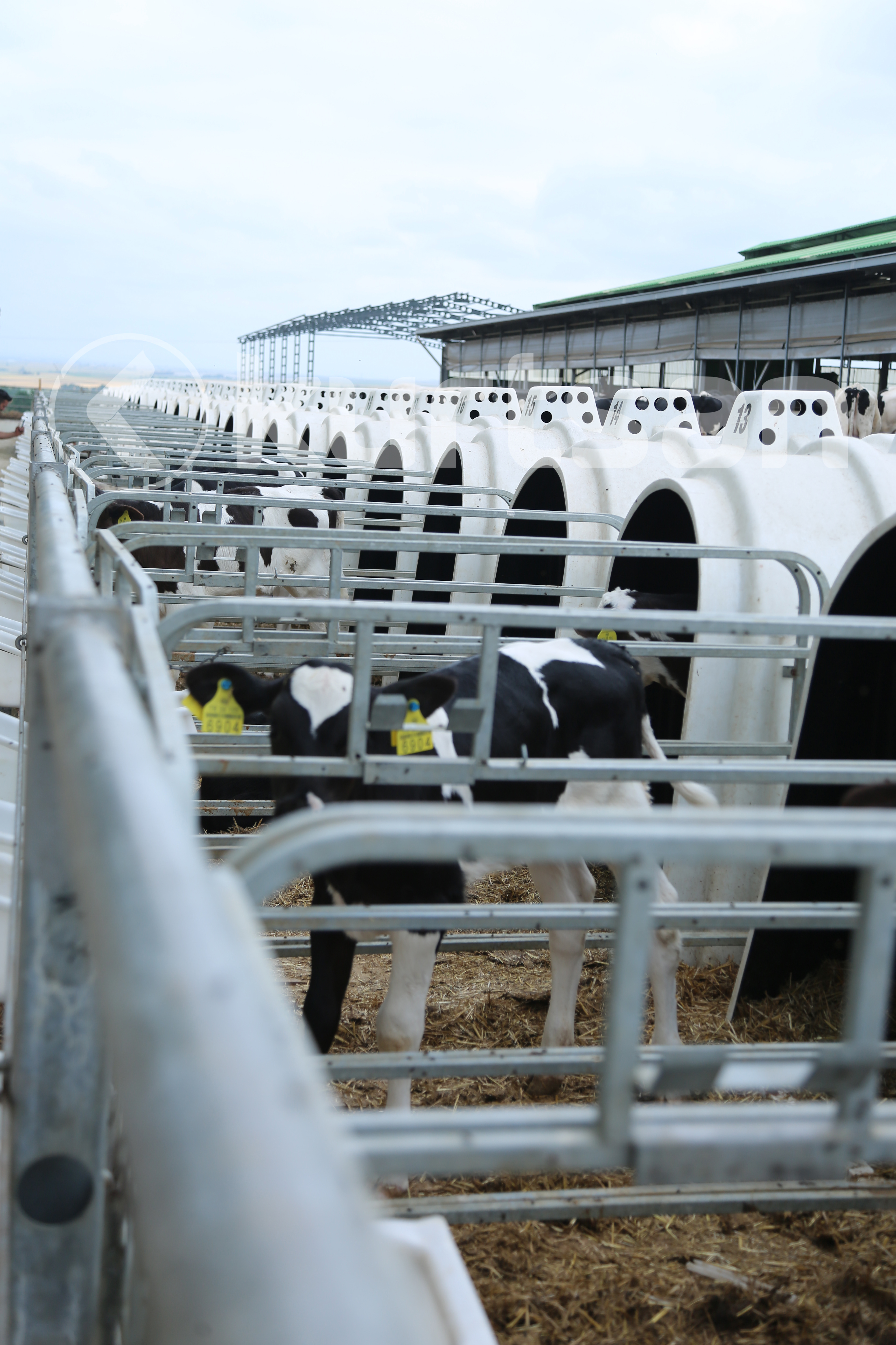 Kurtsan Diğer Çiftlik Ekipmanları