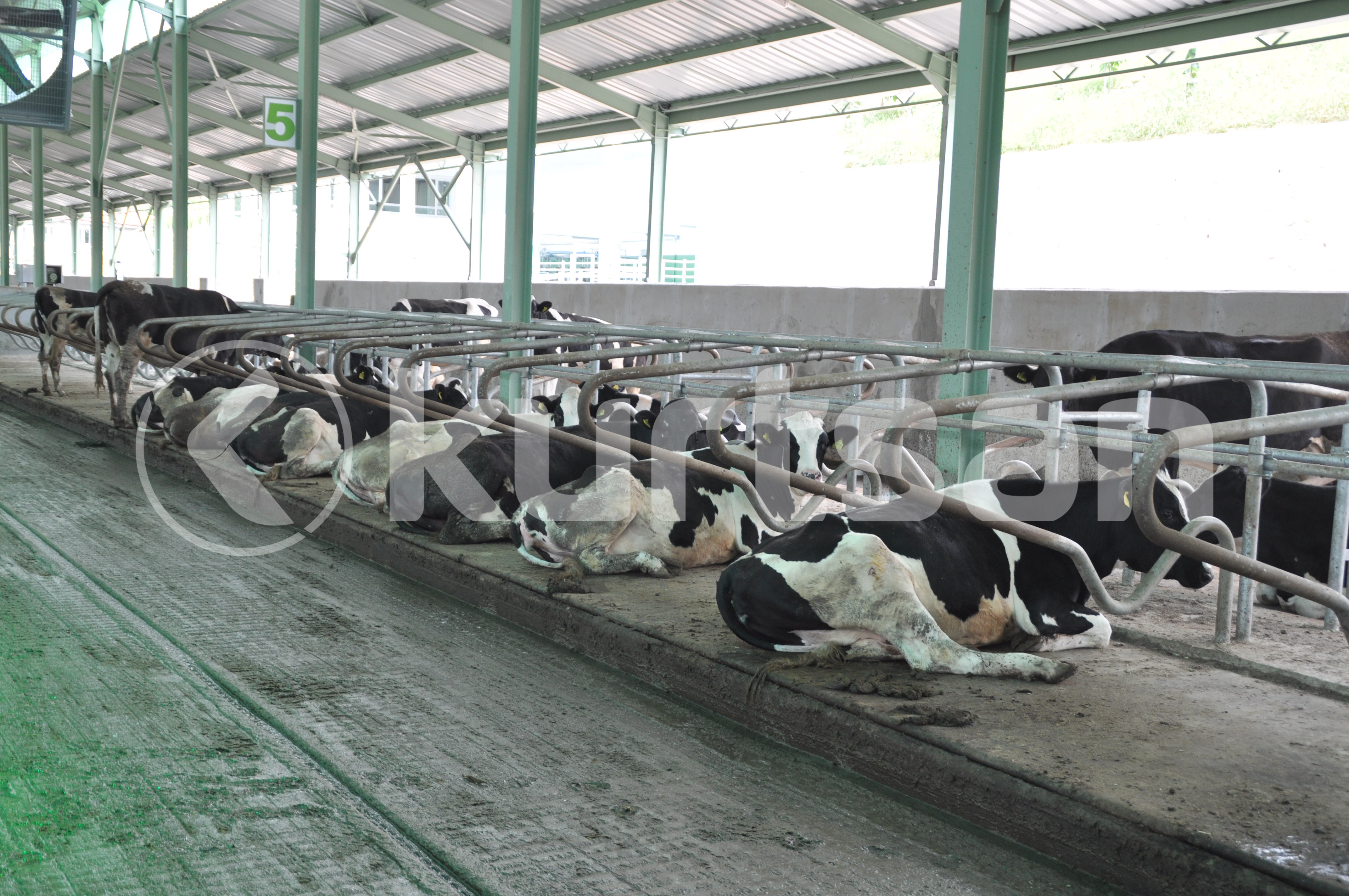 Kurtsan Diğer Çiftlik Ekipmanları