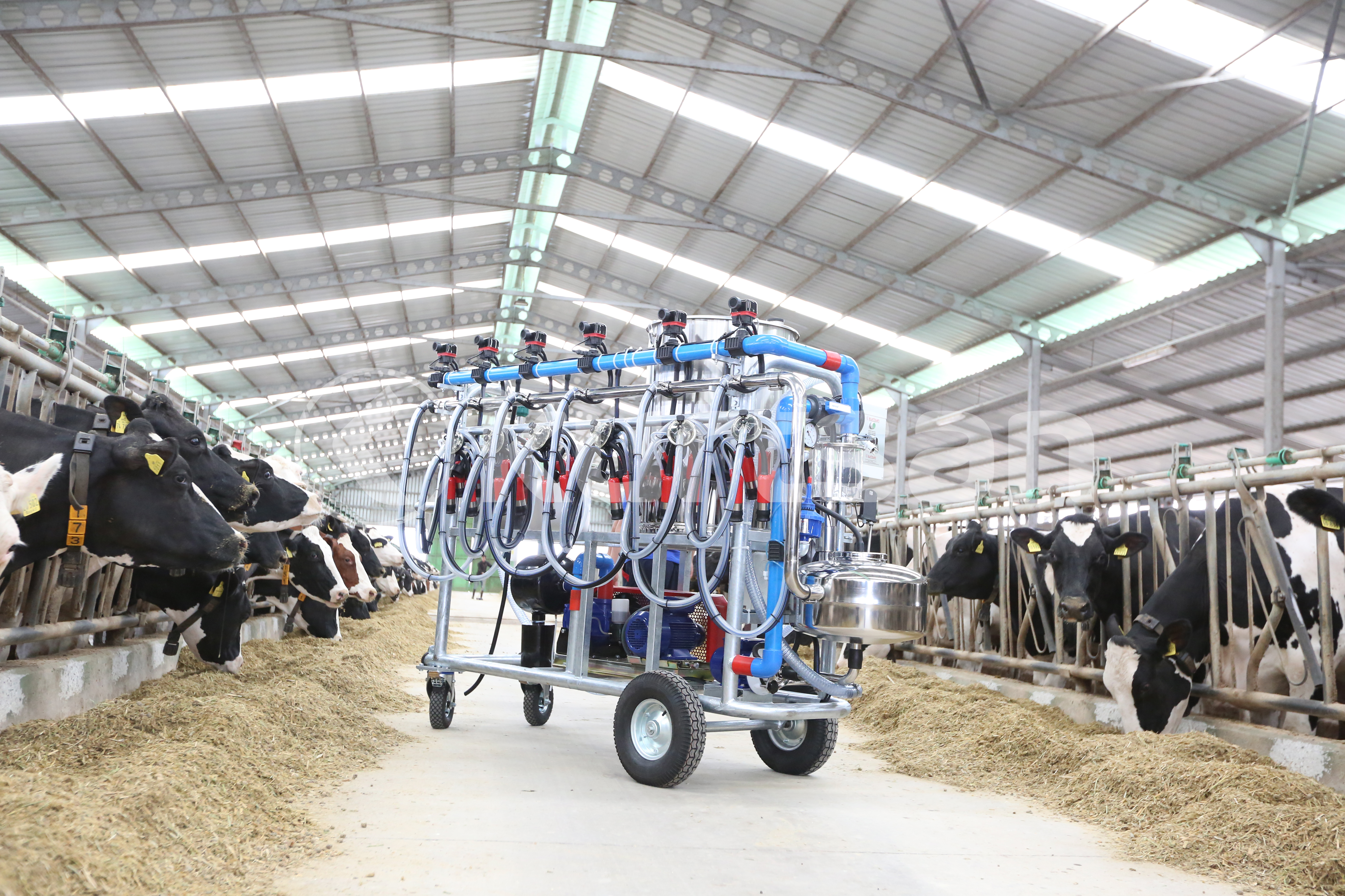 Kurtsan Diğer Çiftlik Ekipmanları