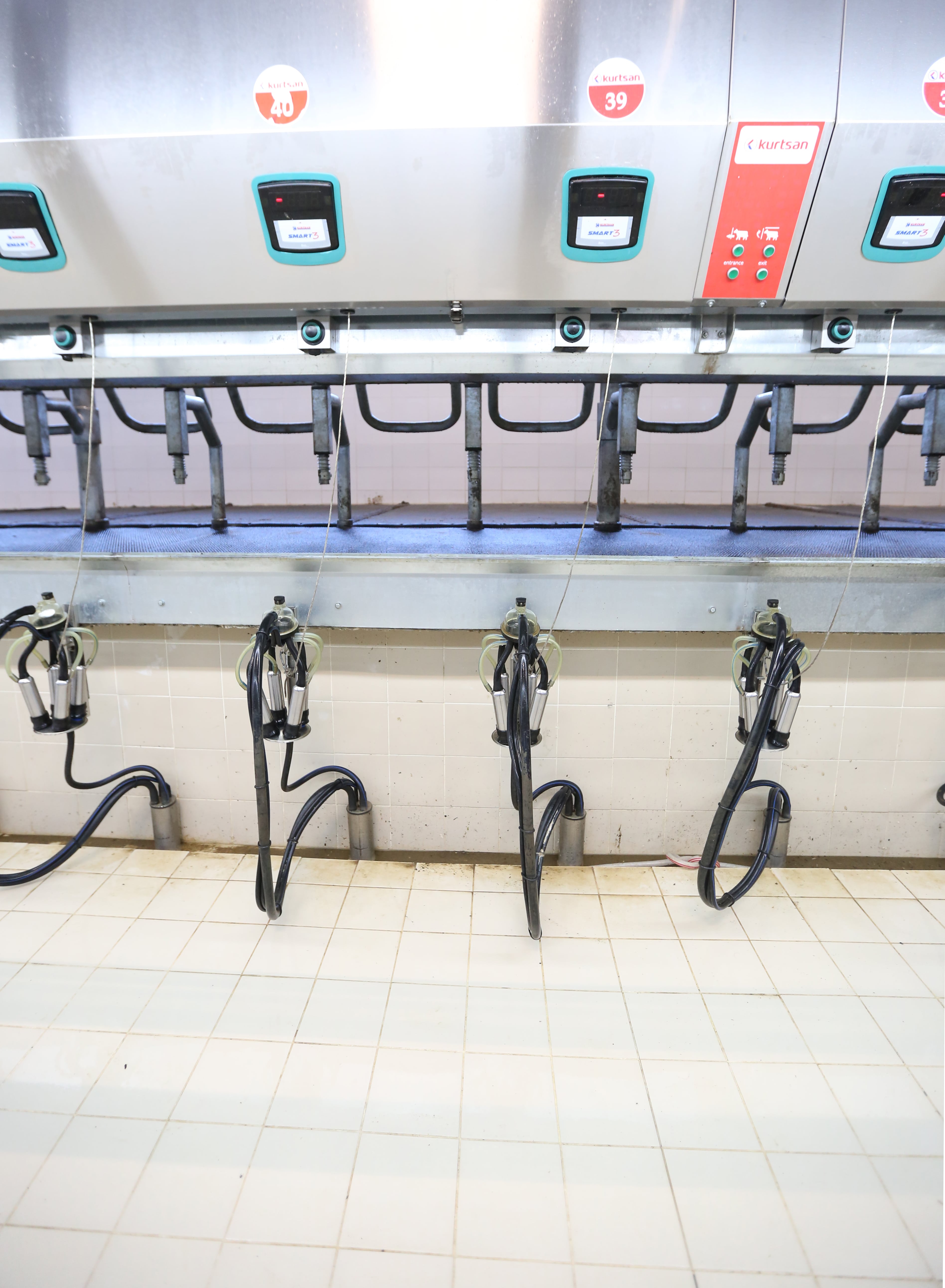 Hızlı Çıkış Sağım Sistemleri