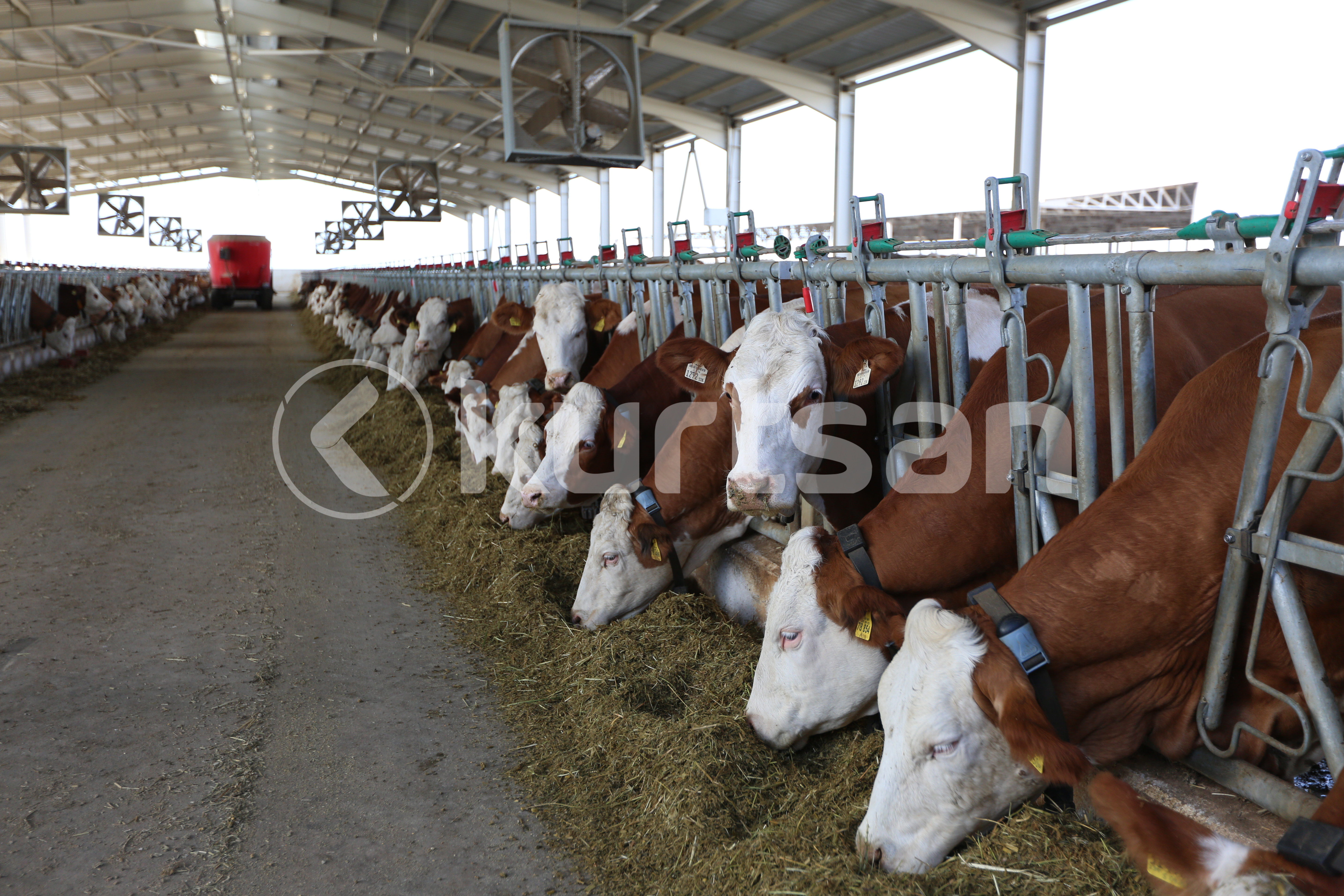 Kurtsan Diğer Çiftlik Ekipmanları
