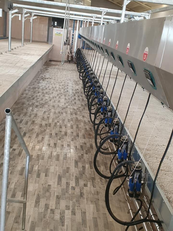 Ağaçcı Tarım 1X25 Hızlı Çıkış İndex Sağım Sistemi